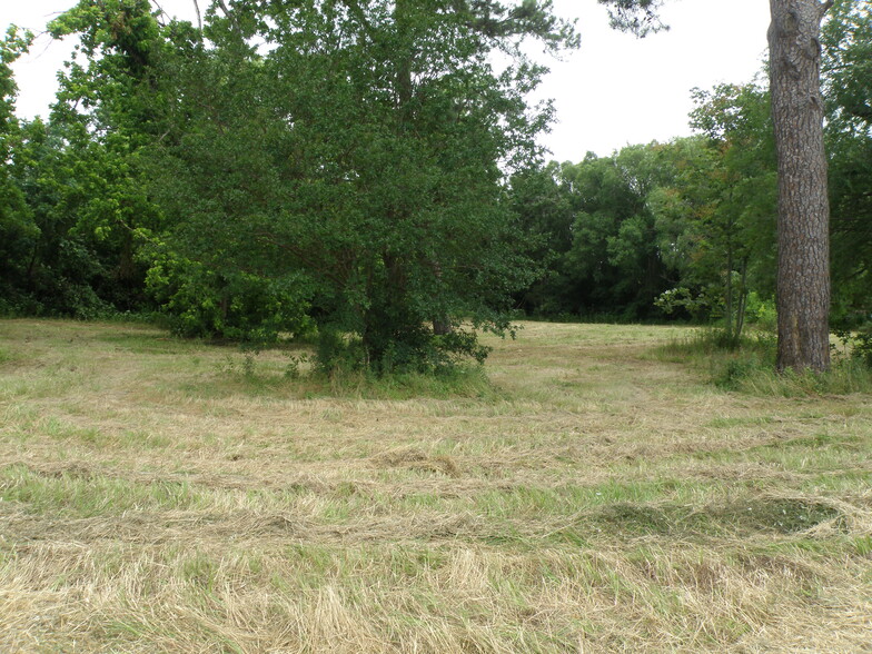 409 E Palestine Ave, Palestine, TX for sale - Building Photo - Image 3 of 23