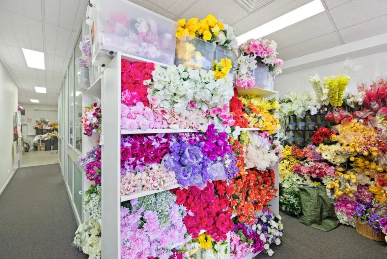 250 Charman Rd, Cheltenham, VIC 3192 - - - Interior Photo - Image 1 of 5