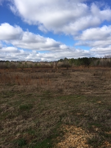 1204 Hwy 45 N, Columbus, MS for sale - Primary Photo - Image 1 of 1