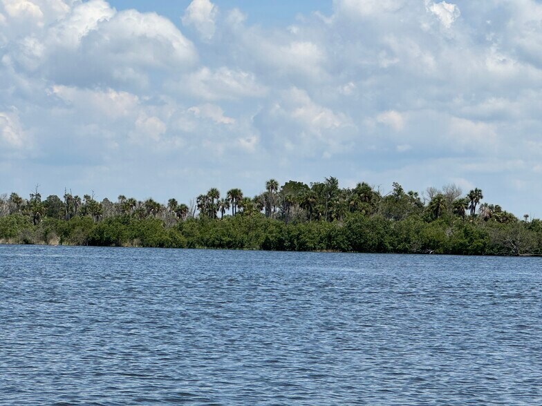 14251 The Homosassa River, Homosassa, FL à vendre - Photo principale - Image 1 de 6