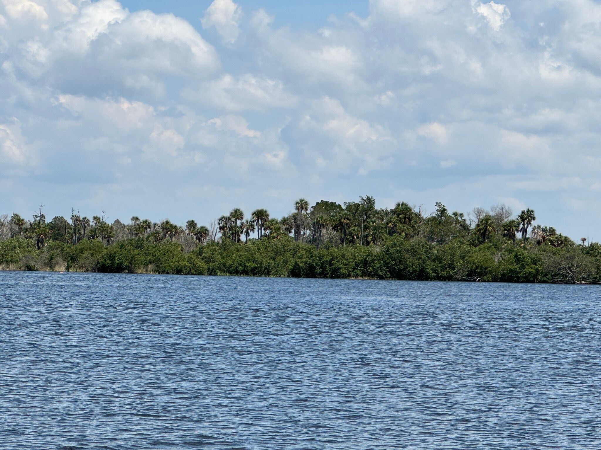 14251 The Homosassa River, Homosassa, FL for sale Primary Photo- Image 1 of 7