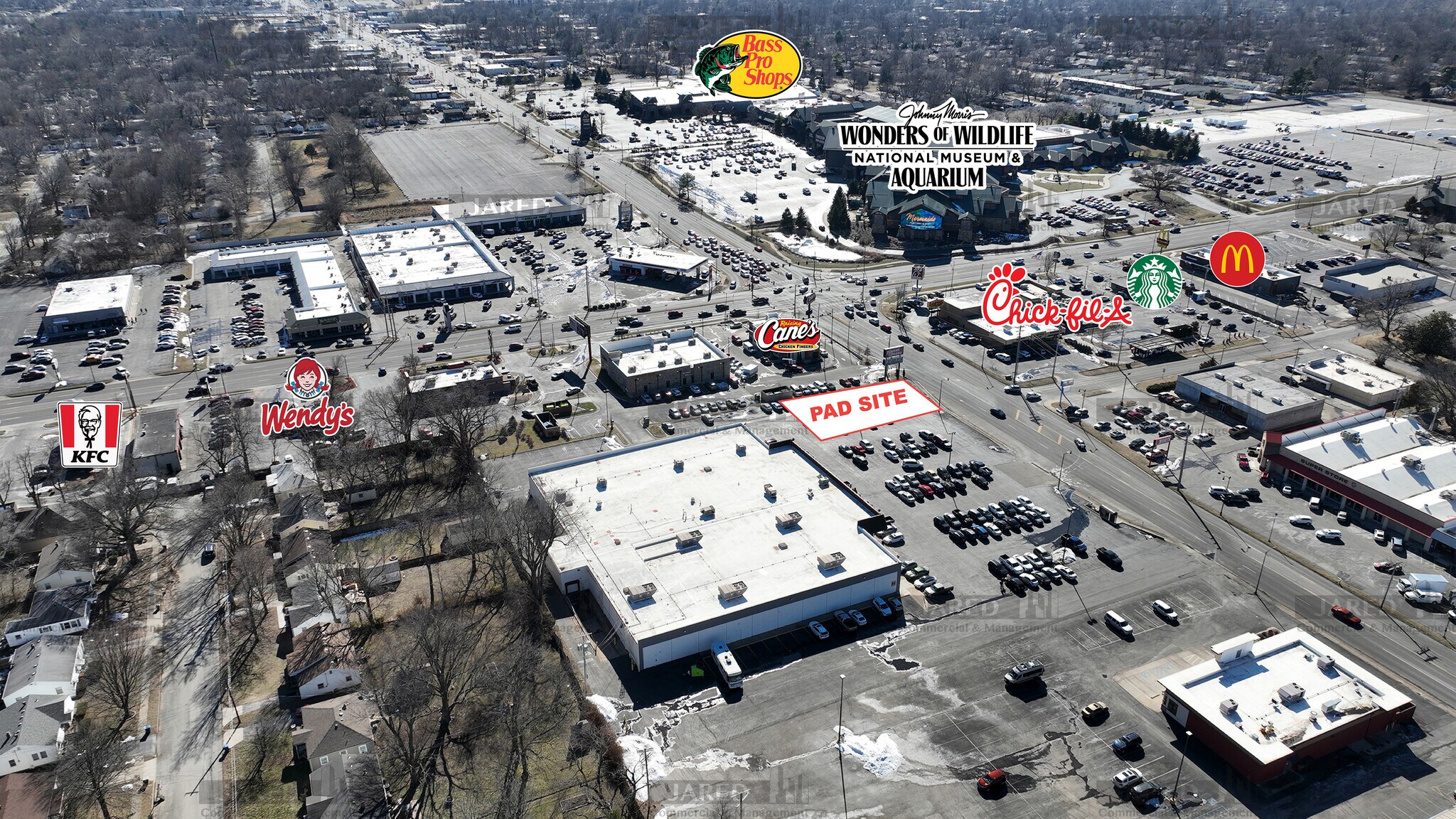 1730 S Campbell Ave, Springfield, MO for lease Primary Photo- Image 1 of 18