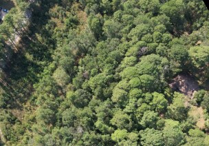 TBD Easley Rd, Huntsville, TX à vendre Photo principale- Image 1 de 2