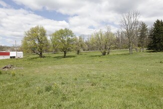 Plus de détails pour 169 Finley Rd, Belle Vernon, PA - Terrain à vendre