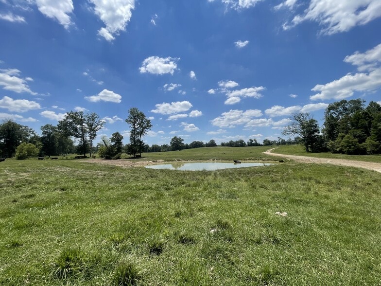 Raspberry Street & 69 hwy, Gallion, AL for sale - Building Photo - Image 2 of 11