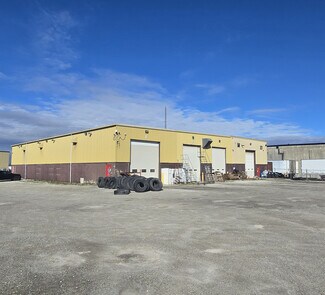 Plus de détails pour 175 Bothwell St, Chatham, ON - Industriel à vendre