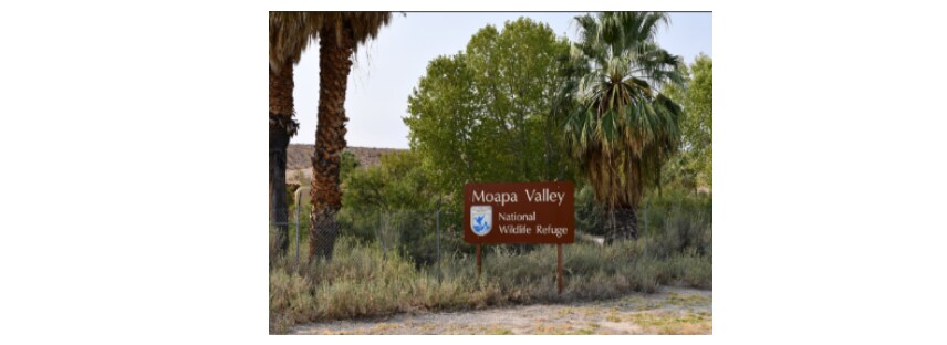 W Thomas, Logandale, NV à vendre - Photo du bâtiment - Image 2 de 5