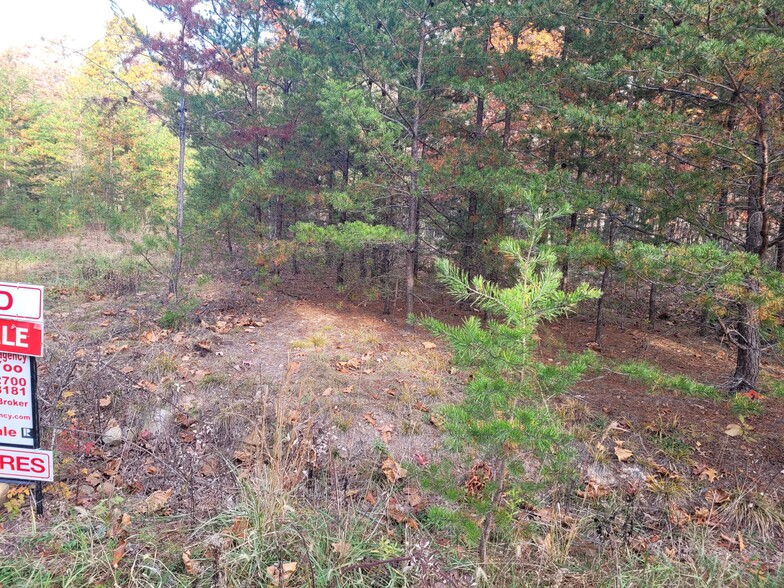 Lot 26 Cabin Run -1, Bloomery, WV à vendre - Photo principale - Image 1 de 14