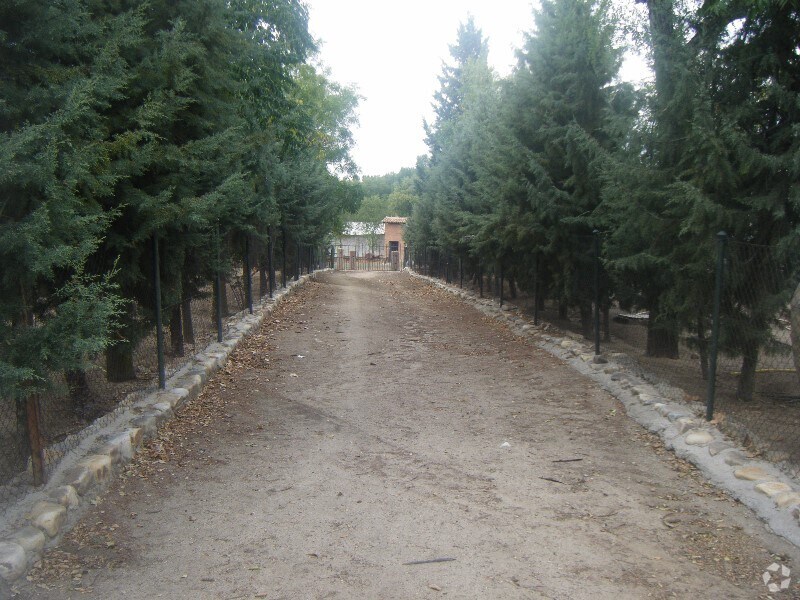 Plaza Antonio Moreda, 1, Valdeolmos-Alalpardo, Madrid à vendre Photo intérieure- Image 1 de 15