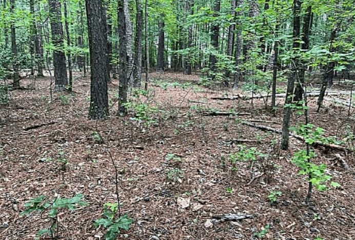 Jimmie Mayfield Blvd Fayetteville, GA 30215 United States, Fayetteville, GA for sale - Other - Image 2 of 16