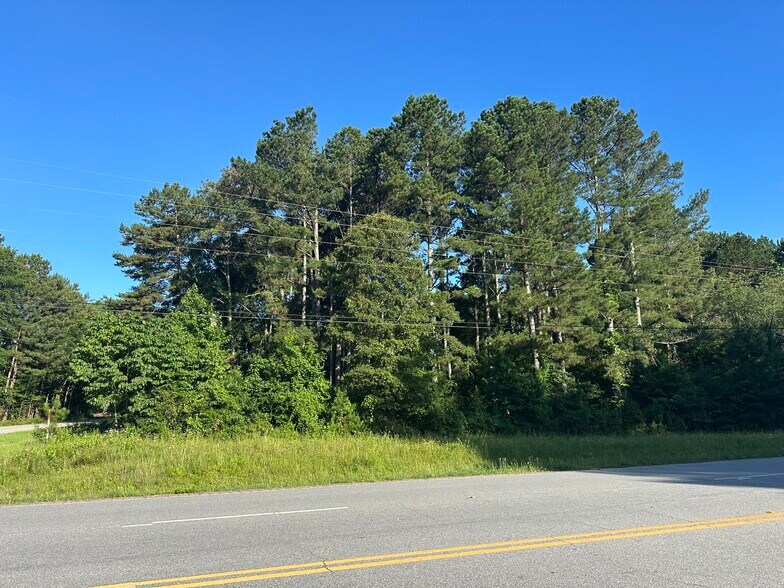 0 Paoli Road, Carlton, GA for sale - Building Photo - Image 2 of 18