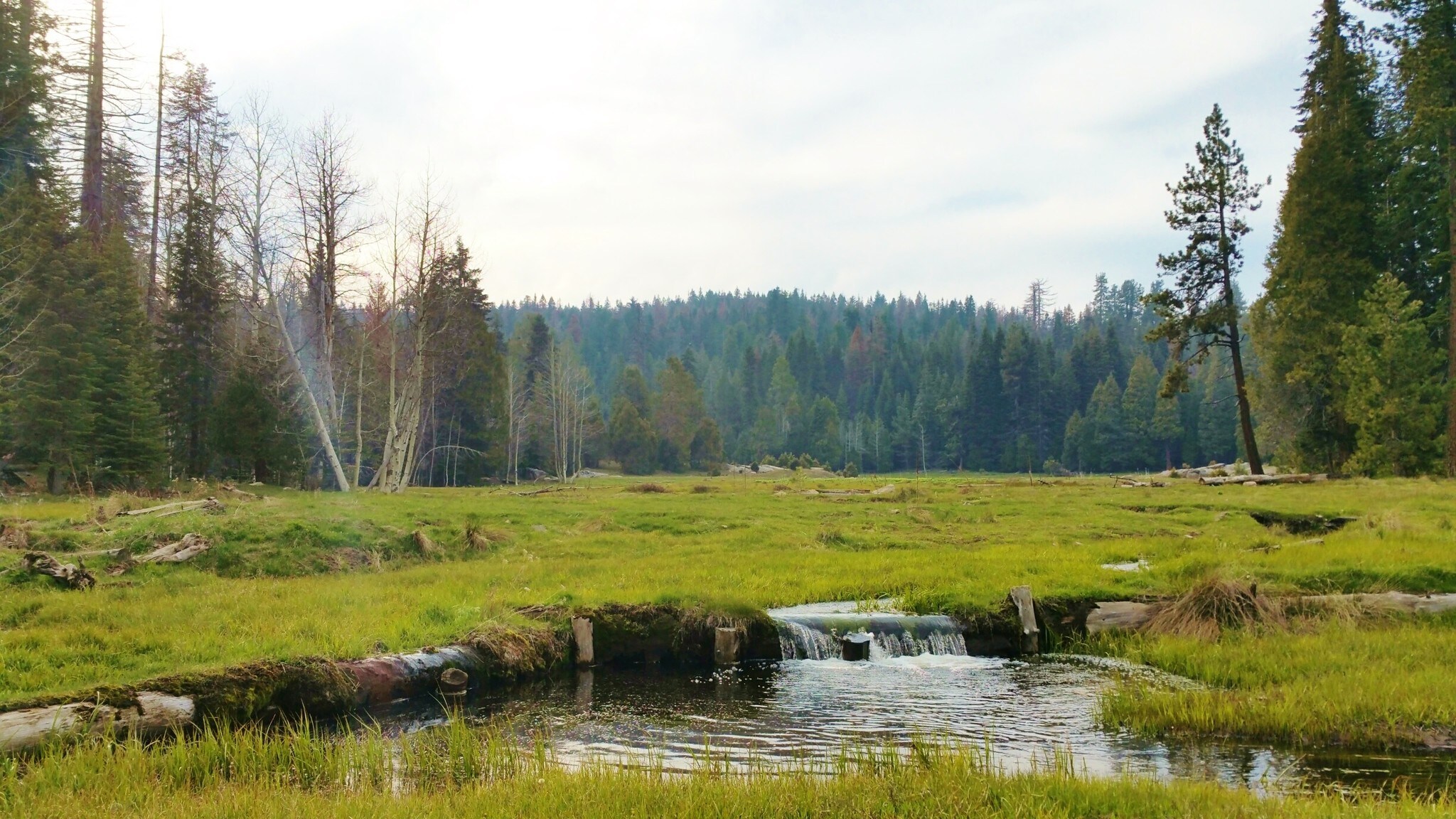 Forest Route, Hume, CA for sale Primary Photo- Image 1 of 8