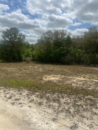 More details for Cleft Rock Street, Webster, FL - Land for Sale