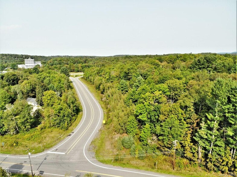 Old Route 17, Harris, NY à vendre - Aérien - Image 3 de 15