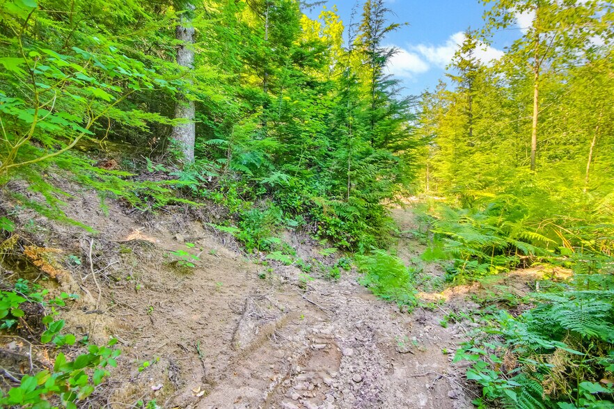 32750 343rd Ave SE, Ravensdale, WA à vendre - Photo du bâtiment - Image 3 de 49