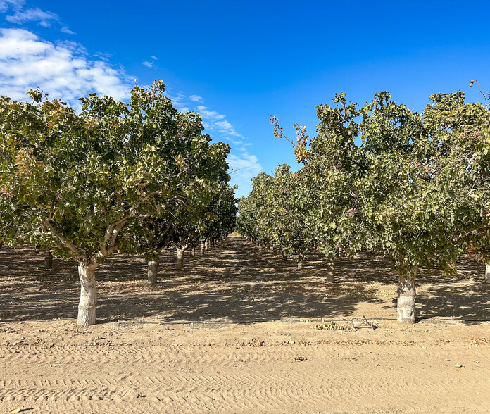 Buttonwillow Drive, Buttonwillow, CA for sale - Building Photo - Image 3 of 9