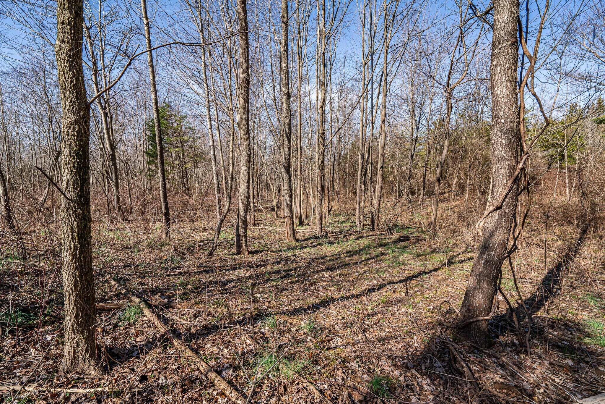 0 Wilson Rd, Radcliff, KY à vendre Photo principale- Image 1 de 18