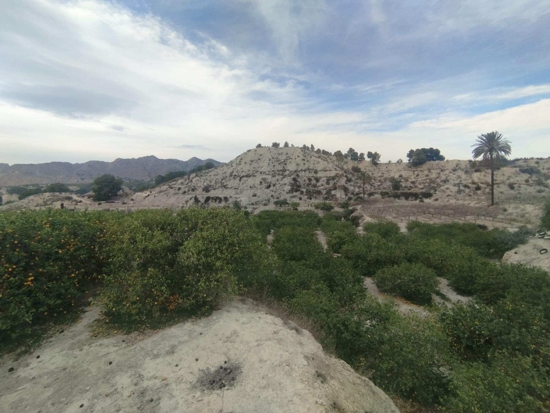 Terrain dans Ulea, Murcia à vendre Aérien- Image 1 de 13