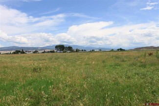 More details for TBD 6600, Montrose, CO - Land for Sale