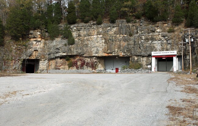 Plus de détails pour 1055 Starks Rd, Cumberland Furnace, TN - Industriel à louer
