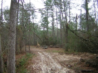 Pin Oak & Reinhart, New Caney, TX for sale - Building Photo - Image 3 of 9