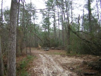 Pin Oak & Reinhart, New Caney, TX à vendre - Photo du bâtiment - Image 3 de 9