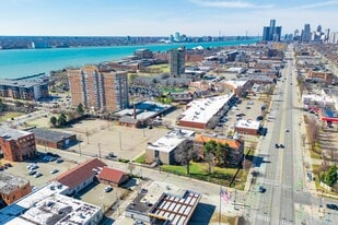 301 Mount Elliott St, Detroit MI - Commercial Property