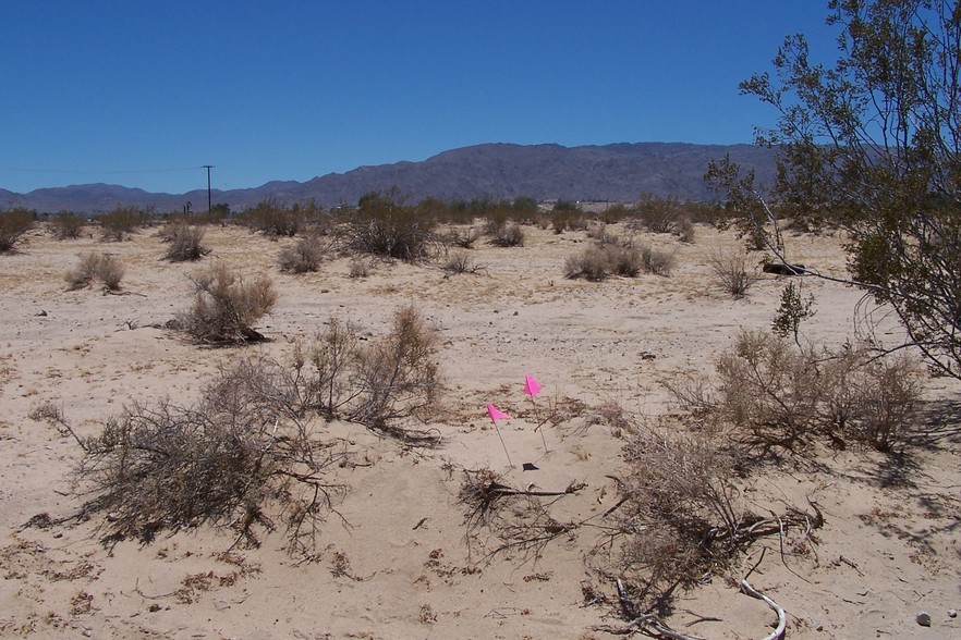 Ramona Dr, Twentynine Palms, CA for sale - Building Photo - Image 1 of 1