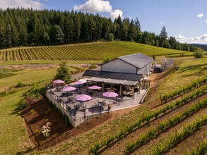 12000 NW Old Wagon Rd, Carlton, OR - AERIAL  map view