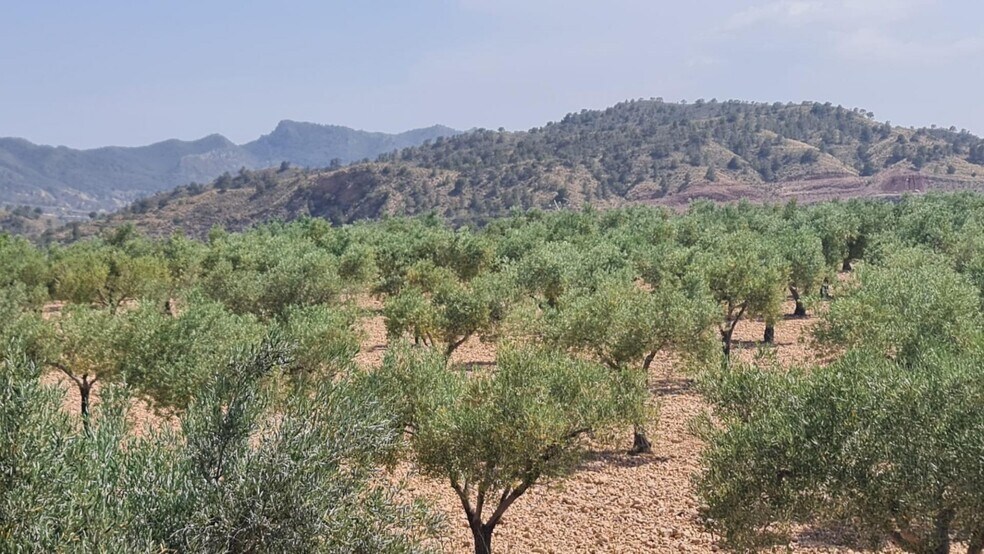Terrain dans Abanilla, Murcia à vendre - Photo principale - Image 2 de 8