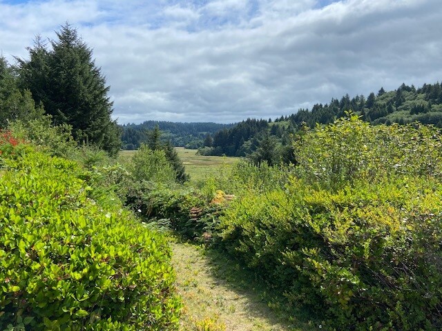 TL 203 Beaver Creek, Seal Rock, OR à vendre - Autre - Image 3 de 12