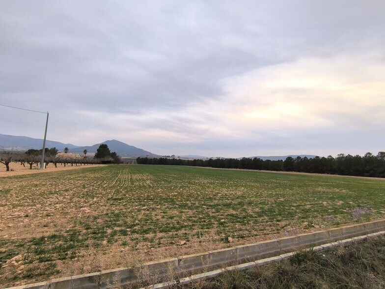 Land in San José, Yecla, Ayuntamiento, MURCIA for sale - Building Photo - Image 3 of 4
