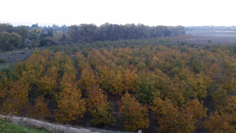 0 Jackson Road Rd, Oakdale, CA for sale - Building Photo - Image 3 of 6