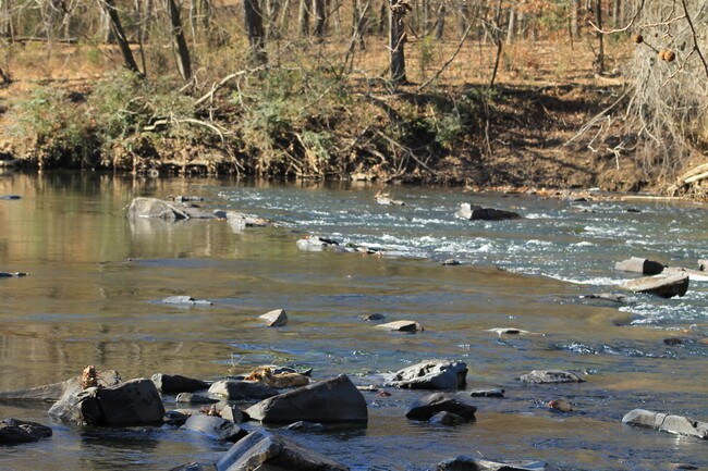 More details for 5690 Rocky Mount Church Rd, Polkton, NC - Land for Sale