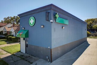 More details for 14108 Houston Whittier St, Detroit, MI - Retail for Lease