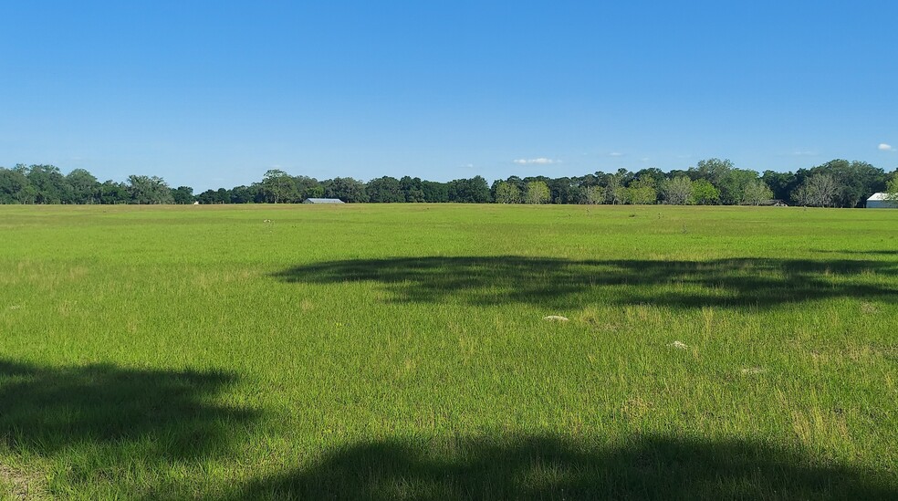 TBD Hwy 475, Oxford, FL à vendre - Photo int rieure - Image 1 de 8