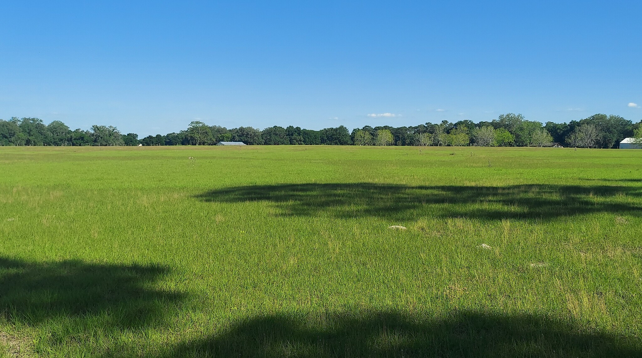 TBD Hwy 475, Oxford, FL à vendre Photo int rieure- Image 1 de 9