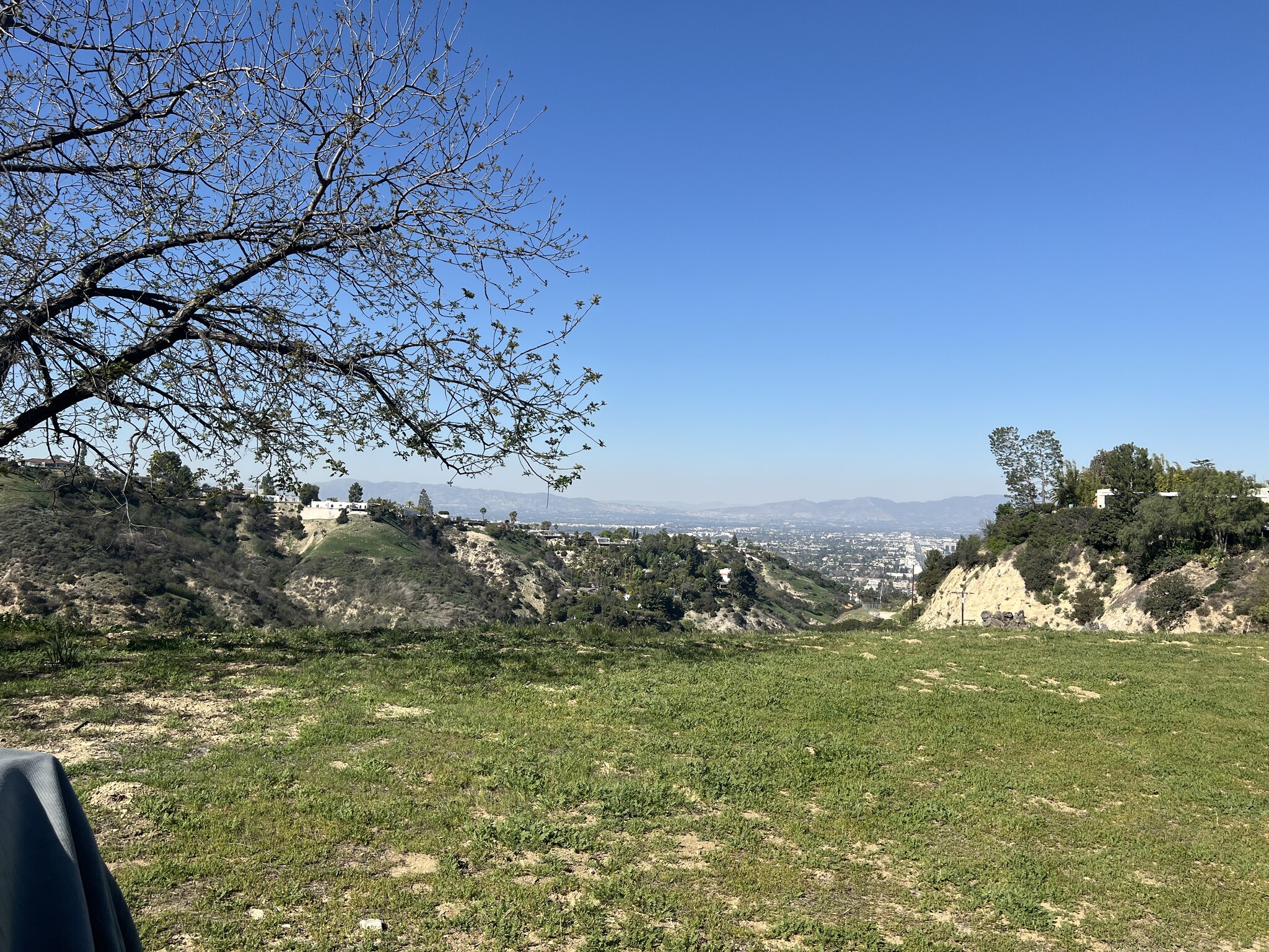 3500 Beverly Glen Blvd, Sherman Oaks, CA for sale Primary Photo- Image 1 of 7