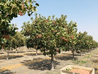 Plus de détails pour W South Ave, Tranquillity, CA - Terrain à vendre