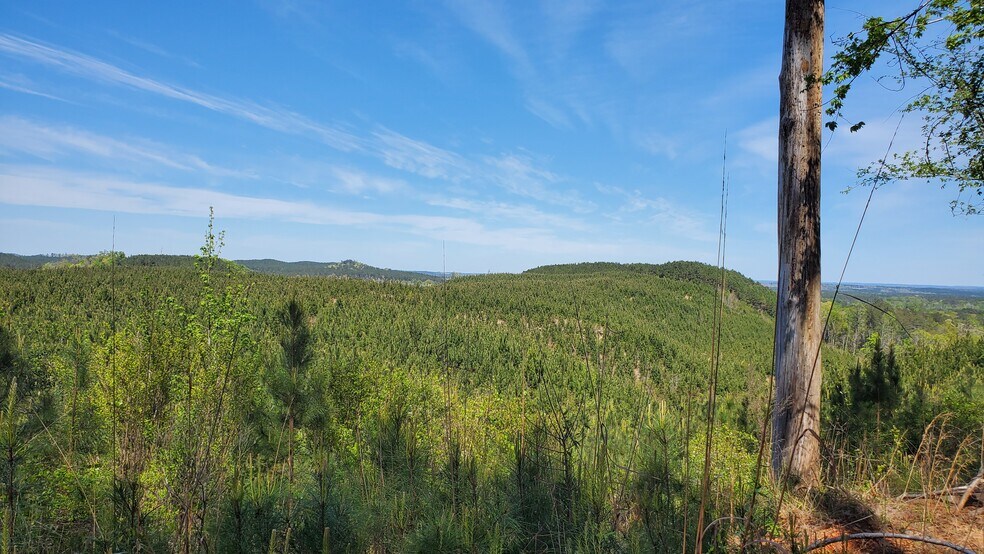 0 Silver Creek Road, Chance, AL for sale - Primary Photo - Image 2 of 12