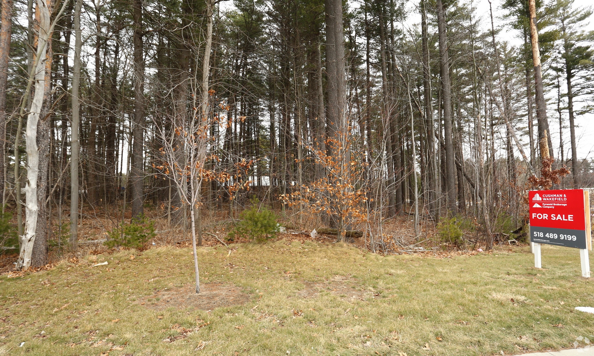 2409 Route 9, Malta, NY for lease Building Photo- Image 1 of 8