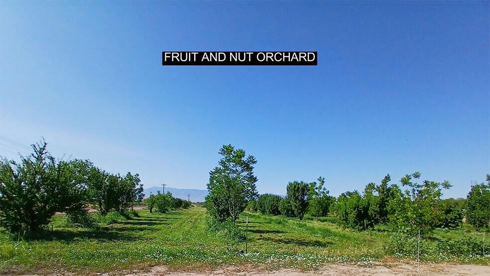 13915 US 70, Fort Thomas, AZ à vendre - Photo du bâtiment - Image 3 de 38