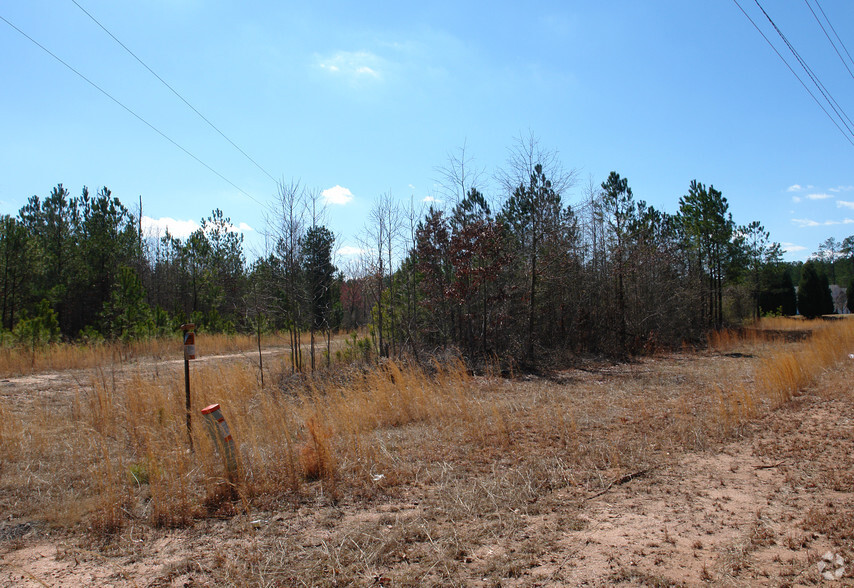 7285 Ga-16 Hwy, Senoia, GA for sale - Primary Photo - Image 1 of 1