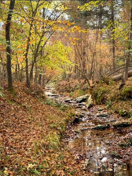 4440 49 hwy, Union, SC for sale - Other - Image 2 of 12