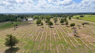 Plus de détails pour TBD Watterson rd, Red Rock, TX - Terrain à vendre