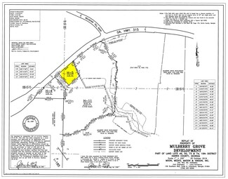 Plus de détails pour Hwy 315 H-5, Fortson, GA - Terrain à vendre