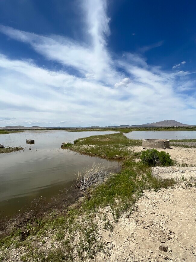Plus de détails pour Winnemucca, Winnemucca, NV - Terrain à vendre