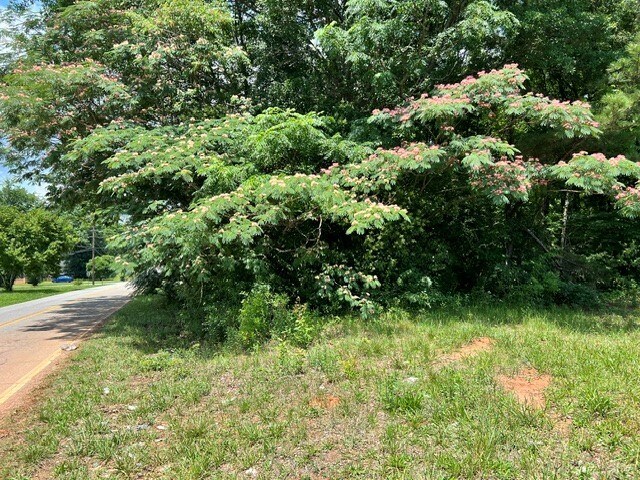 W Shockley Ferry Rd, Anderson, SC for sale - Other - Image 3 of 4