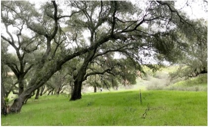 Old Coach Way, Poway, CA for sale Primary Photo- Image 1 of 1