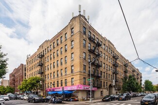 Plus de détails pour 2501 Tratman Ave, Bronx, NY - Commerce de détail à louer